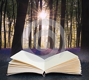 Majestic Spring landscape image of colorful bluebell flowers in woodland coming out of pages in imaginary book