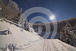 The majestic starry sky over the winter mountain landscape. Night scene. Wonderful tall fir trees with moonlight