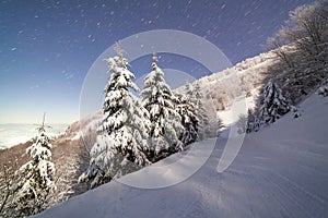 The majestic starry sky over the winter mountain landscape. Night scene. Wonderful tall fir trees with moonlight