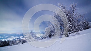 The majestic starry sky over the winter mountain landscape. Night scene. Wonderful tall fir trees with moonlight