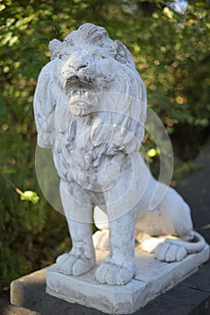 Majestic Stone Lion Statue in Garden Setting