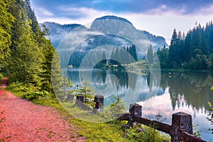 Majestic summer view of mountain lake Lacul Rosu or Red Lake or Killer Lake