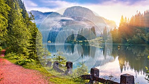 Majestic summer view of mountain lake Lacul Rosu or Red Lake or Killer Lake