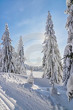 Majestic sunrise in the winter mountains landscape. High resolution image