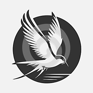 Majestic Tern Silhouette Soaring Across the Sky