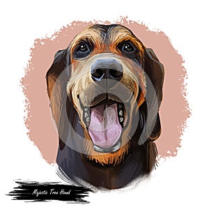 Majestic Tree Hound crossbreed dog, belonging to coonhound or bloodhound group. Digital art illustration of dog muzzle with open