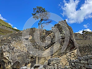 Majestic tree stands at the edge of the ancient ruins of Temple of the Condor, Peru, Machu Picchu