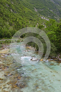 Majestic turquoise Soca river in the green forest, Bovec, Slovenia, Europe.