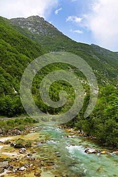 Majestic turquoise Soca river in the green forest, Bovec, Slovenia, Europe.