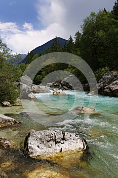 Majestic turquoise Soca river in the green forest, Bovec, Slovenia, Europe.