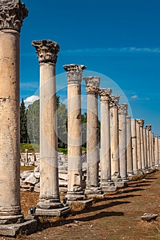 Majestic view of Agora of Ephesus from columnar road and columns, Izmir, Turkey