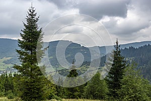 Majestic view on beautiful foggy Carpathian mountains Meadow. Mist landscape. Dramatic unusual scene. Travel background