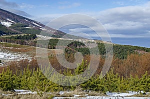 Majestic view of cloudy sky, winter mountain, snowy glade, conifer and deciduous forest from Plana mountain toward Vitosha