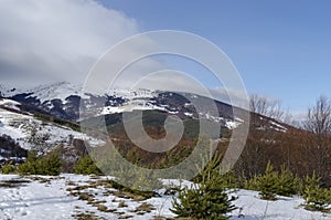 Majestic view of cloudy sky, winter mountain, snowy glade, residential district, conifer and deciduous forest from Plana mountain