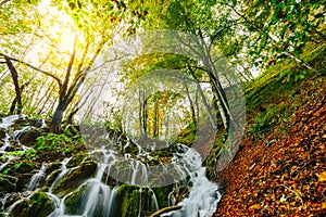 Majestic view of a deep forest waterfall on a sunny autumnal day in Plitvice National Park, Croatia