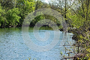 Majestic View of the Roanoke River