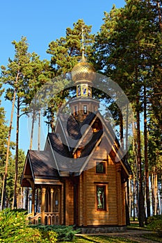 Majestic view of wooden chapel with golden dome in the forest. Old Pine trees against blue sky in the background