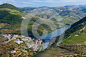Majestic Vineyards on the Douro River in Portugal