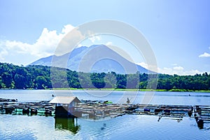 a majestic volcano with a calm lake in front of it.