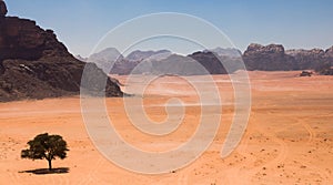Majestic Wadi Rum, aka Valley of the Moon, a protected nature reserve with dramatic sandstone mountains and granite rock
