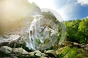 Majestic water cascade of Powerscourt Waterfall, the highest waterfall in Ireland. Tourist atractions in co. Wicklow, Ireland