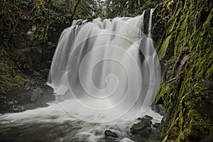 Majestic Waterfall on McDowell Creek