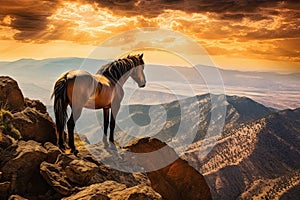 Majestic wild mustang horse atop a mountain range