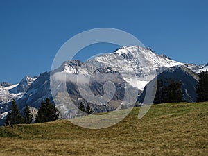 Majestic Wildstrubel