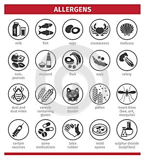 Major allergens. What causes allergies. Template for use in medical agitation. Triggers for the development of bronchial