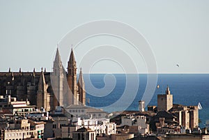 Majorca Cathedral photo