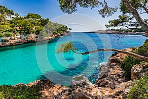 Majorca island, beautiful bay landscape at beach of Cala Dor