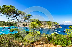 Majorca Mallorca Spain Coast Bay of Portals Vells photo
