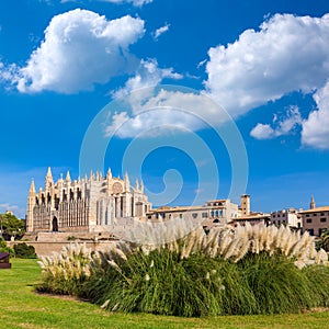 Majorca Palma Cathedral Seu Seo of Mallorca