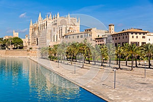 Majorca Palma Cathedral Seu Seo of Mallorca