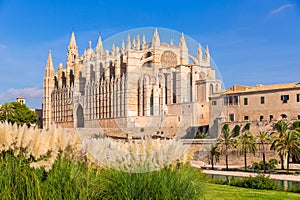 Majorca Palma Cathedral Seu Seo of Mallorca photo