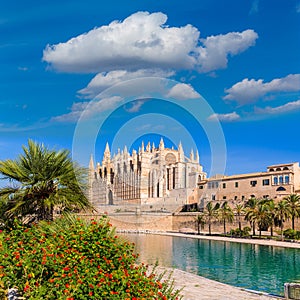 Majorca Palma Cathedral Seu Seo of Mallorca