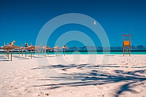 Majorca Platja de Muro beach in Alcudia bay in Mallorca Balearic islands of Spain