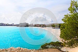 Majorca Platja Palmanova beach in Calvia Bol Teules photo