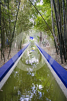 Majorelle garden, Marrakesh