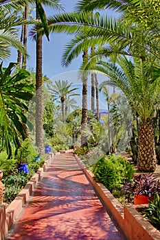 Majorelle Garden in Morocco