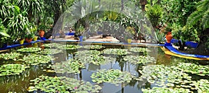 Majorelle Garden pond photo