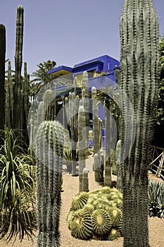 Majorelle Gardens