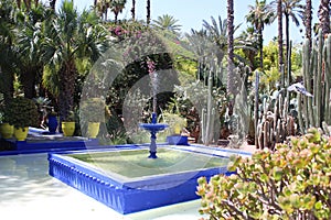 Majorelle Gardens - Marrakech photo