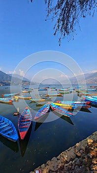 Majuli Island, nestled in the Brahmaputra River,