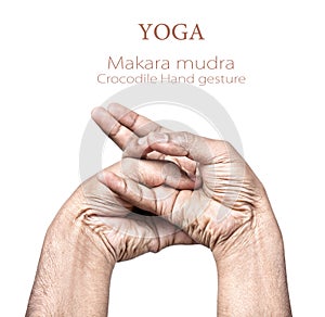 Makara mudra