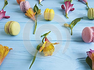 makaroon on blue wooden alstroemeria