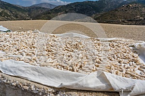 Makarounes - traditional food of Greek Island Karpathos