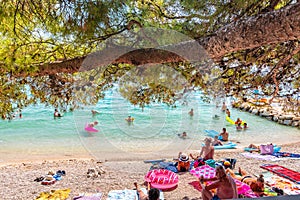 Makarska, Croatia - 22.7.2021: Peoples on the beach at Makarska city, Croatia. Pine tree in foreground, relaxation on the beach,