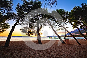 Makarska pebble beach and pine trees sunset view