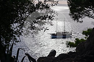 Makarska - Silhouette of forest tree branches with scenic view of luxury sailing boat on Adriatic Mediterranean Sea